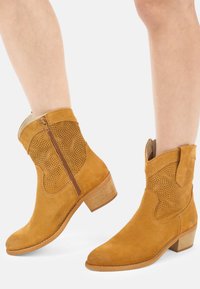 Ковбойские сапожки