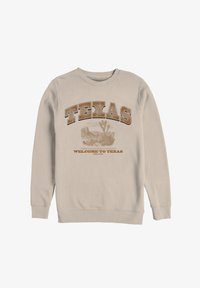 Толстовка Толстовка