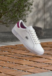 Сникерсы Сникерсы