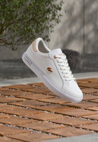 Сникерсы Сникерсы