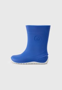 Резиновые сапоги