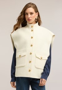 Жилет Жилет