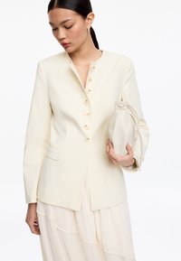 Блейзер Блейзер