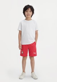 Спортивные штаны