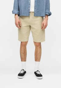 Спортивныве шорты