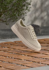 Сникерсы Сникерсы