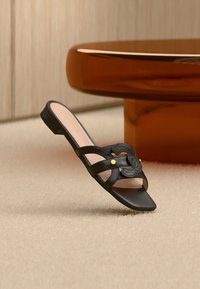 Шлепанцы Шлепанцы