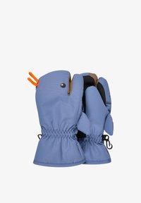 Перчатки Перчатки
